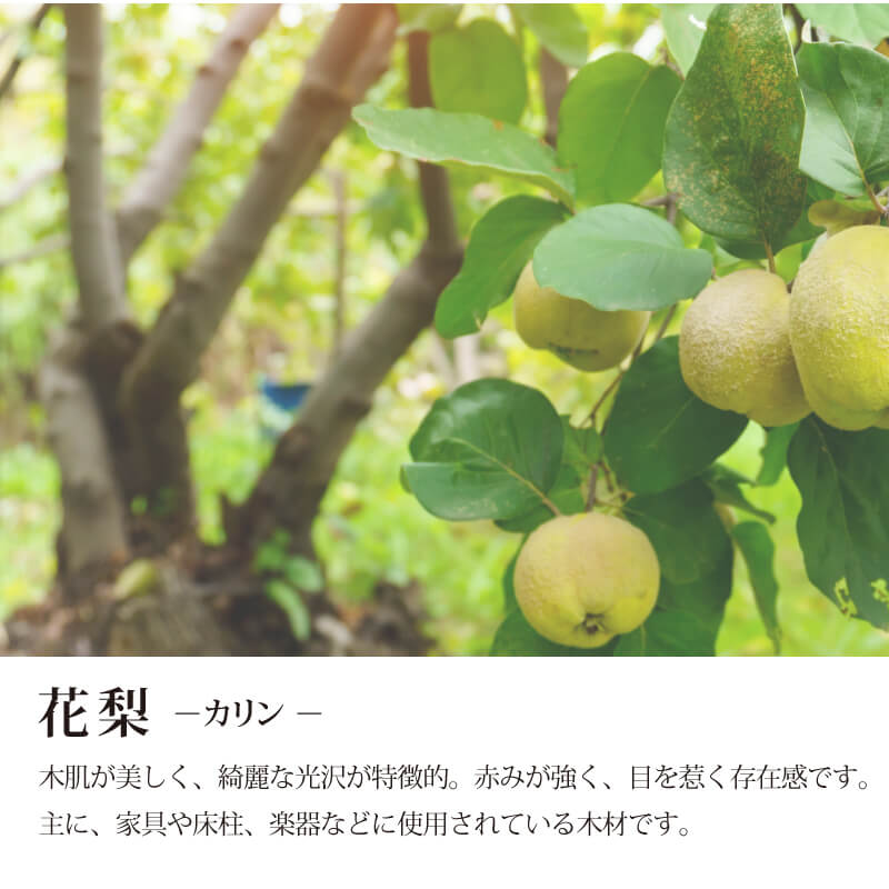 カリンの抜き文字喧嘩札 一文字  【5営業日出荷】