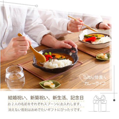 美濃焼カフェ風カレー皿10点セット