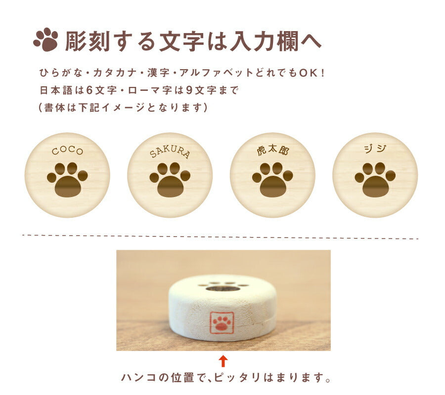 猫のつめ・乳歯ケース