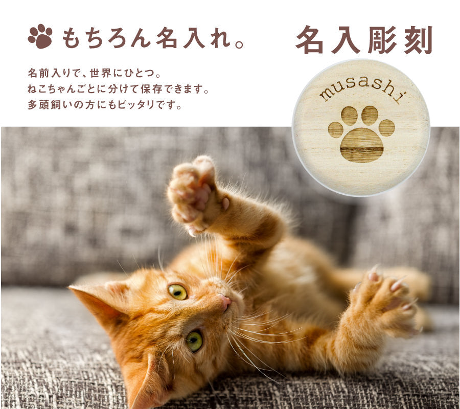 猫のつめ・乳歯ケース