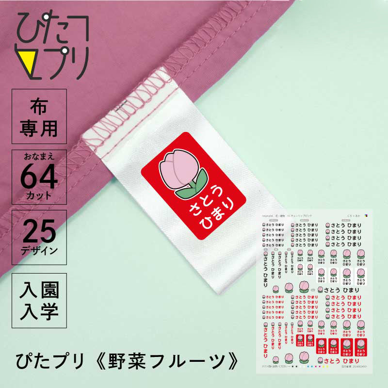 氷華フリル錦 5 ブーケ 当店オリジナル名称 白斑入り　ピンクエッジ　フリル葉 ぴたプリ 花・植物 – 株式会社MIYABI