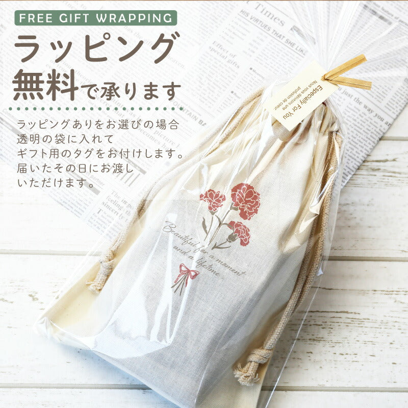 AVEDA パドルブラシ -母の日-
