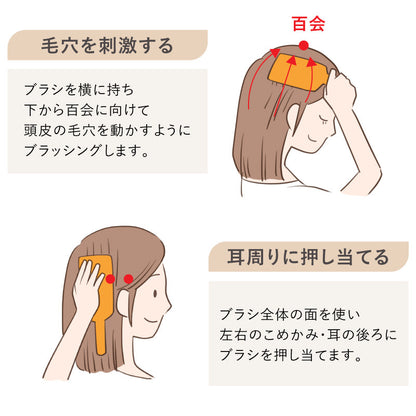 AVEDA パドルブラシ