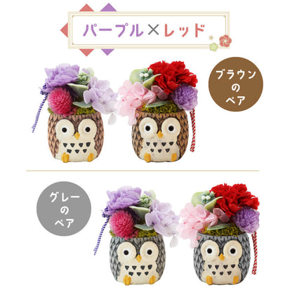 長寿 ふくろう プリザペア