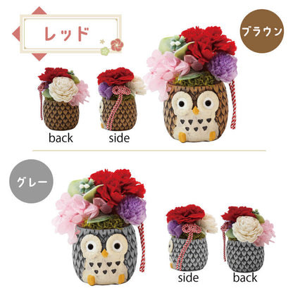 長寿 ふくろう プリザ