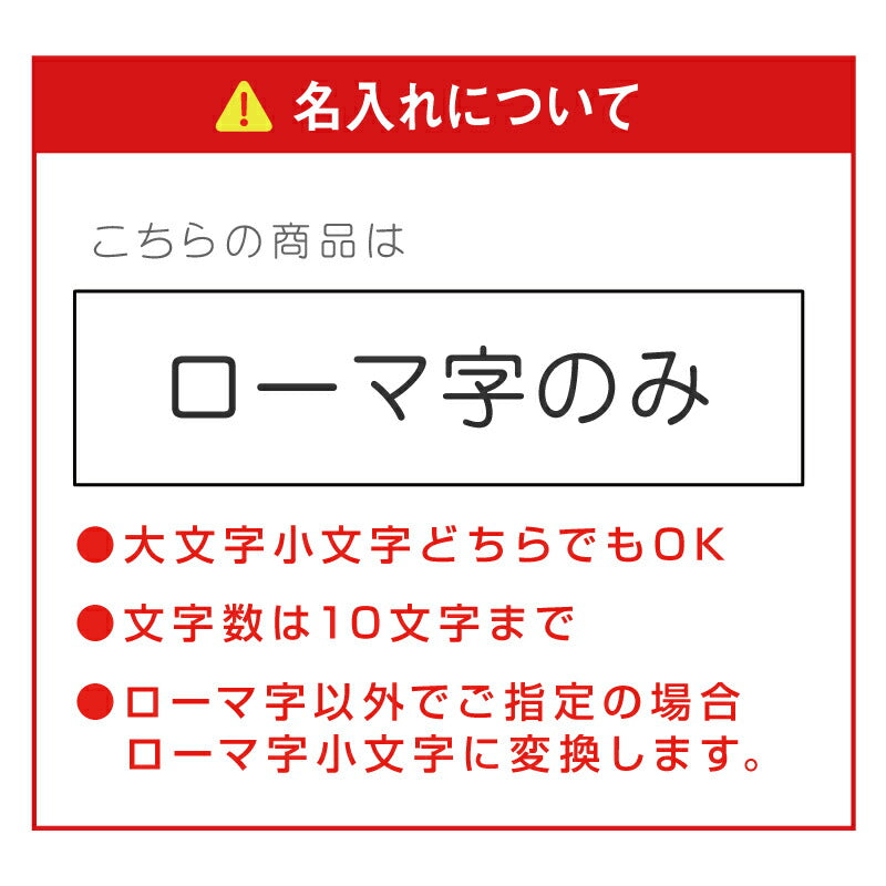 THERMOS ストローマグ/FFH290ST