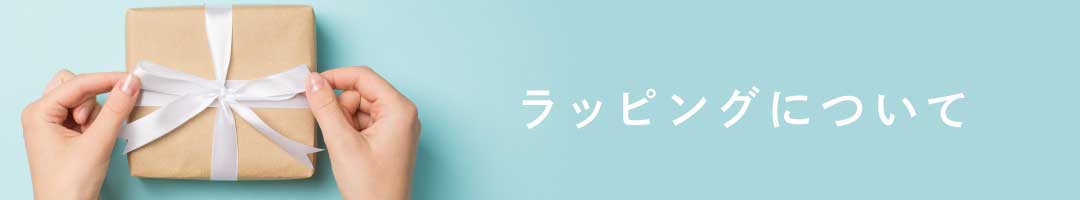 テキストを入力